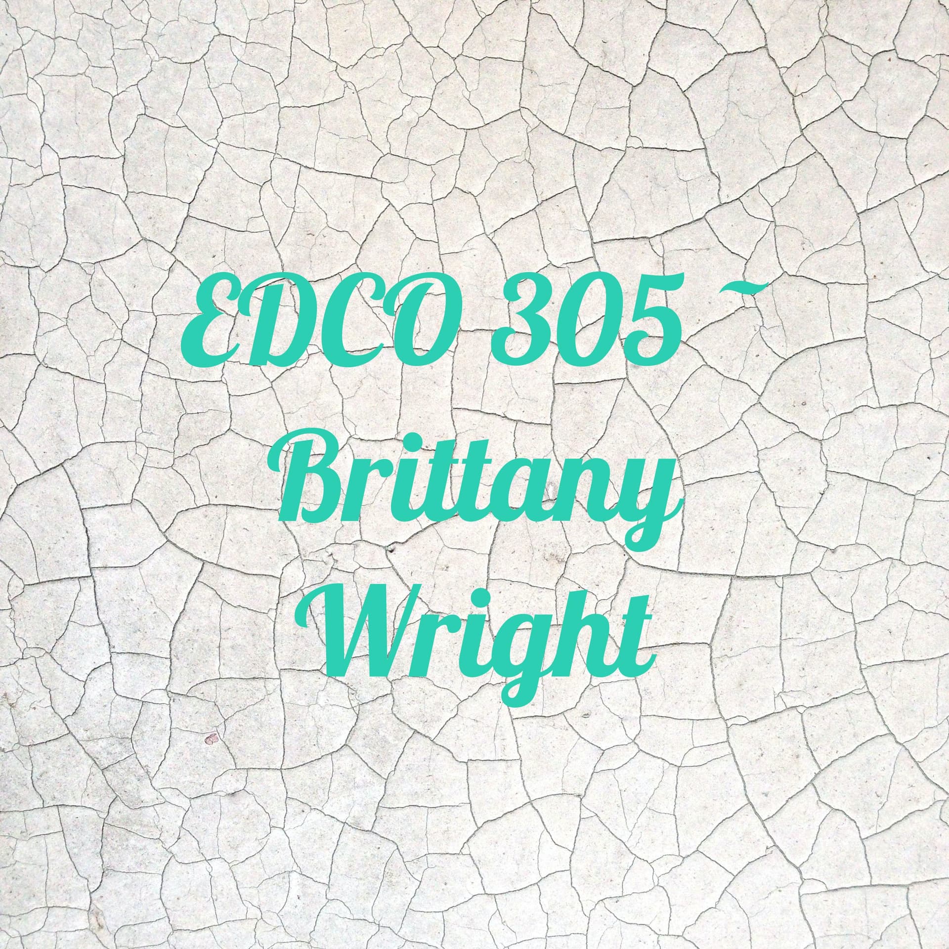EDCO 305 ~ Brittany Wright
