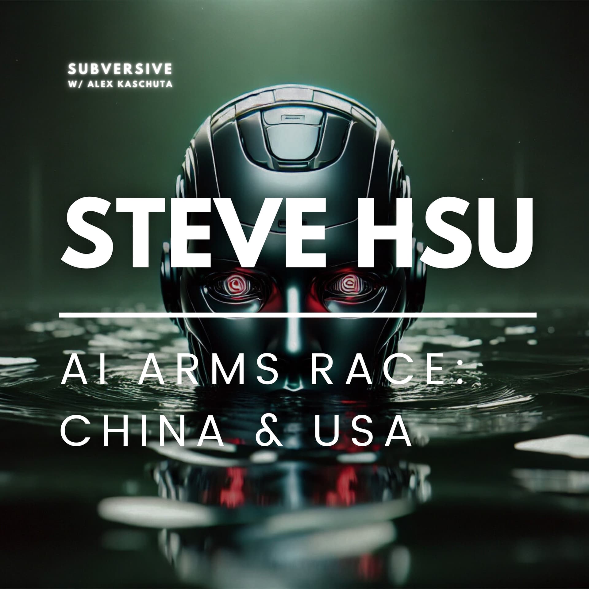 Steve Hsu - AI Arms Race: China & US