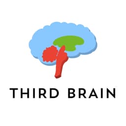 Third Brain