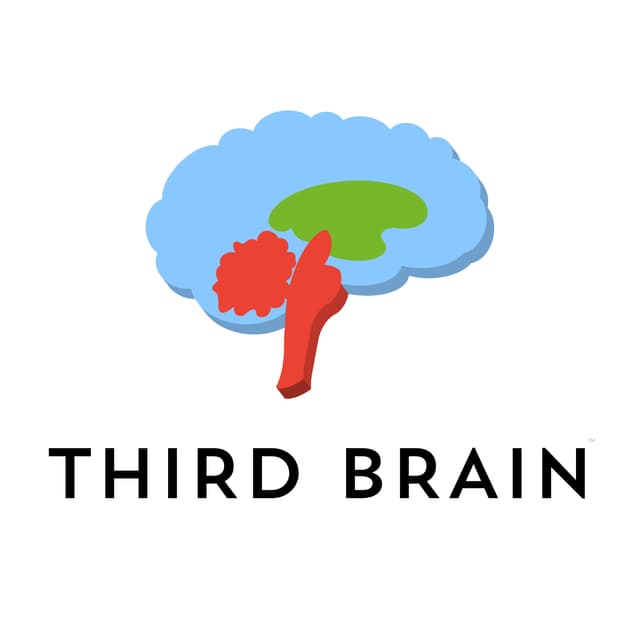 Third Brain