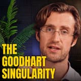 80,000 Hours Podcast