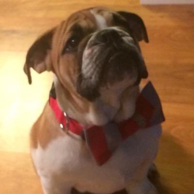Brutus M.