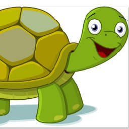 CryptoTurtle C.