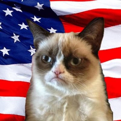 🇺🇲