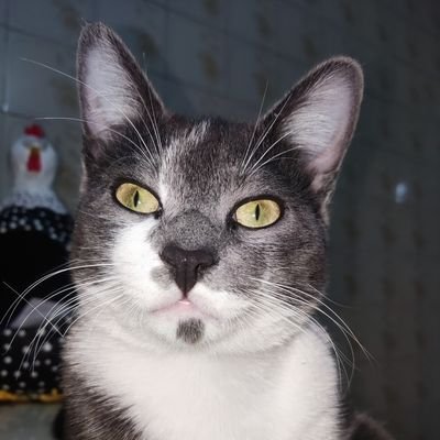 Keila