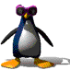 Rob S.
