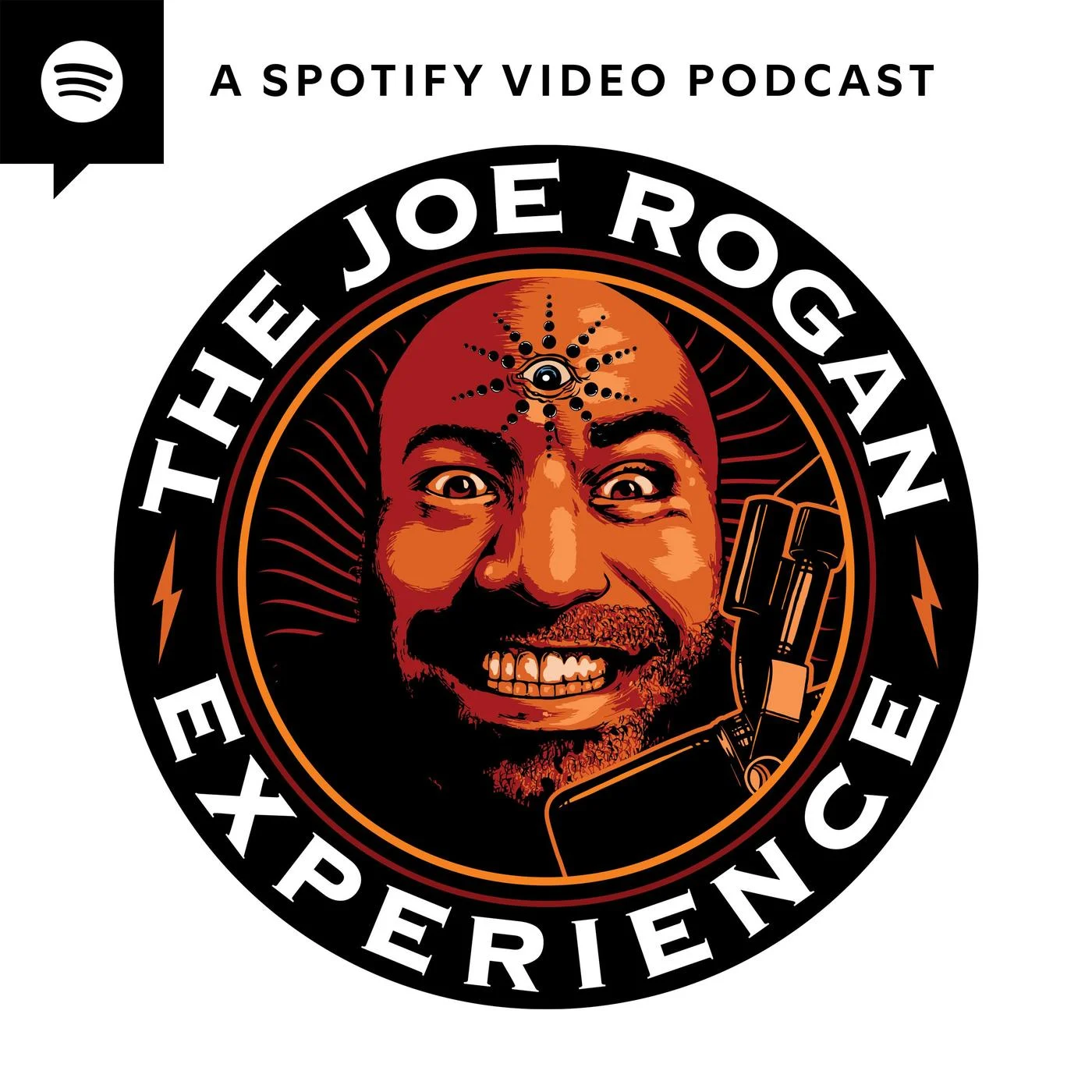 THE JOE ROGAN EXPERIENCE